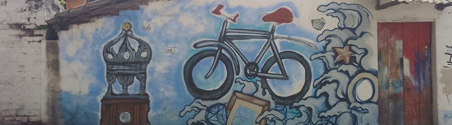 Customized Private Puerto Vallarta Bike Tour 4