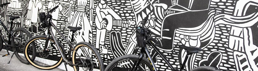 Customized Private Puerto Vallarta Bike Tour 6