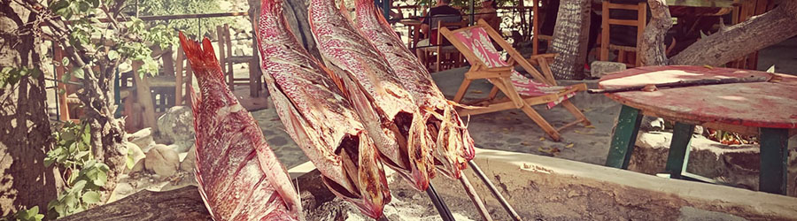 Customized Private Puerto Vallarta Bike Tour 8