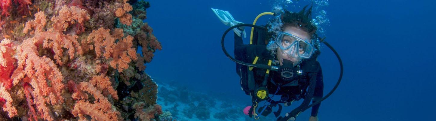 Discover Scuba Diving Puerto Vallarta 2