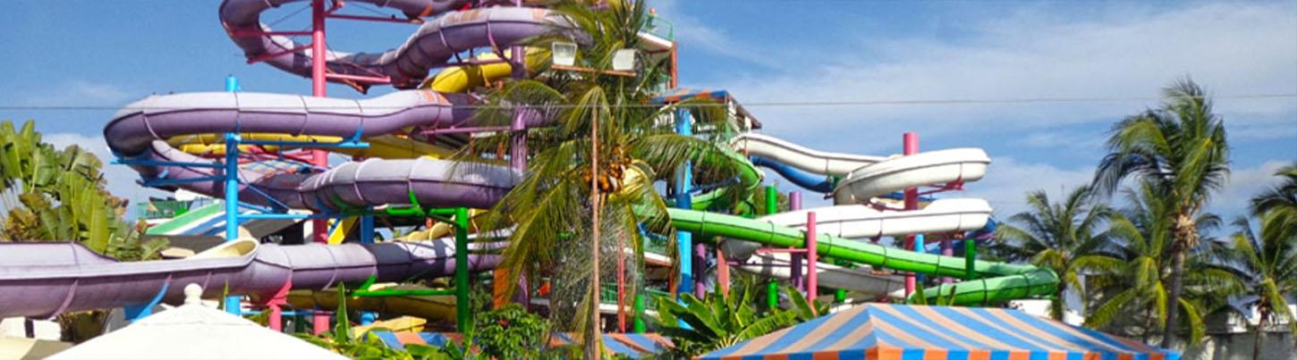 Dolphin Encounter + Aquaventuras Water Park 5