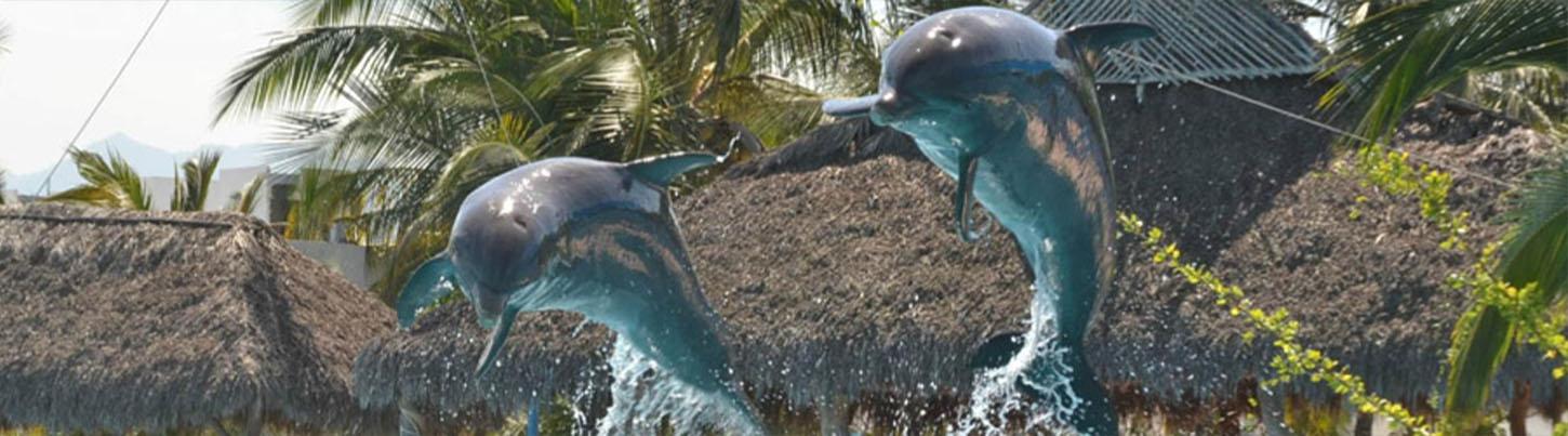 Dolphin Swim Adventure + Aquaventuras Water Park 2