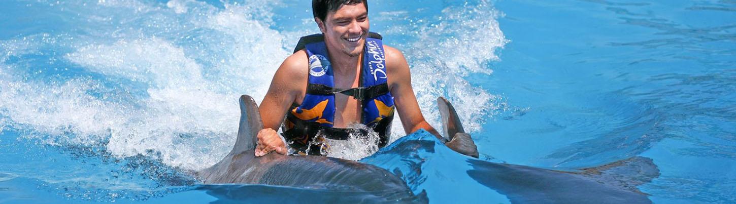 Dolphin Swim Memories 4