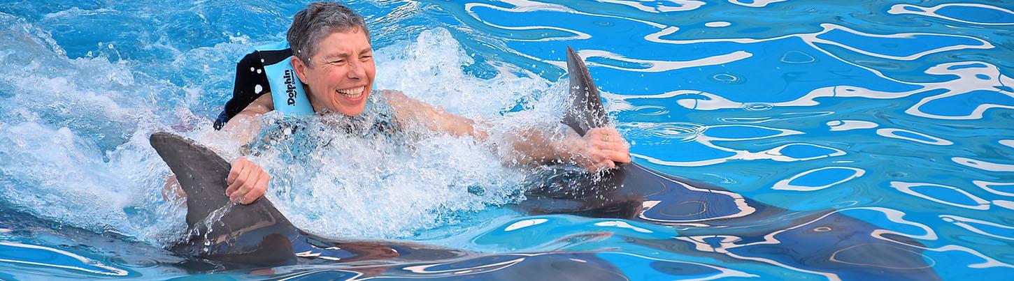 Dolphin Swim Memories 8