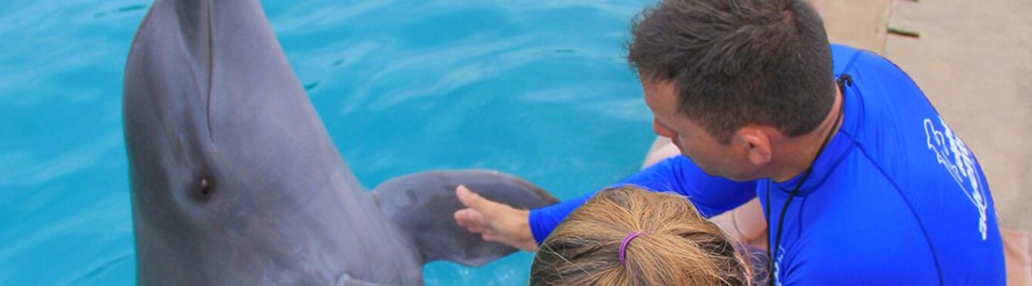 Dolphin Trainer For A Day Puerto Vallarta 8