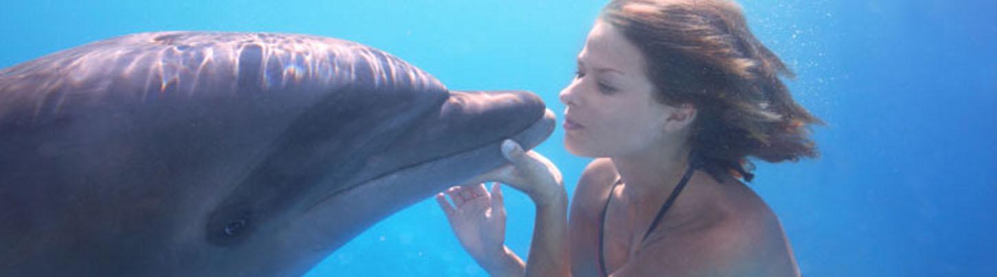 Dolphin Extreme Underwater Dolphin Swim 7