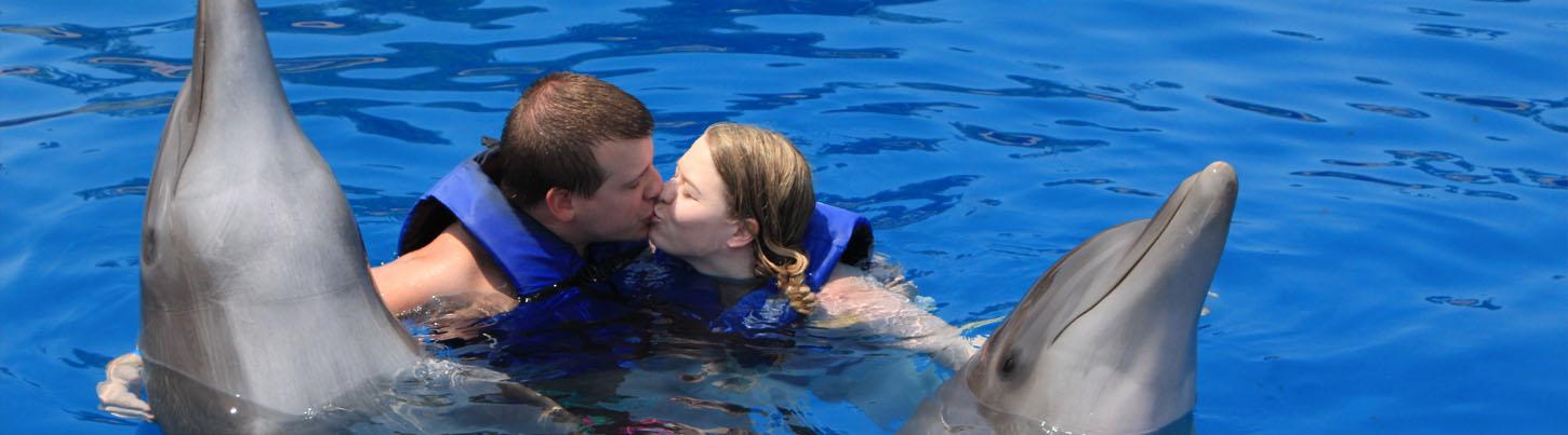 Sea Lion and Dolphin Encounter Swim Adventure 2