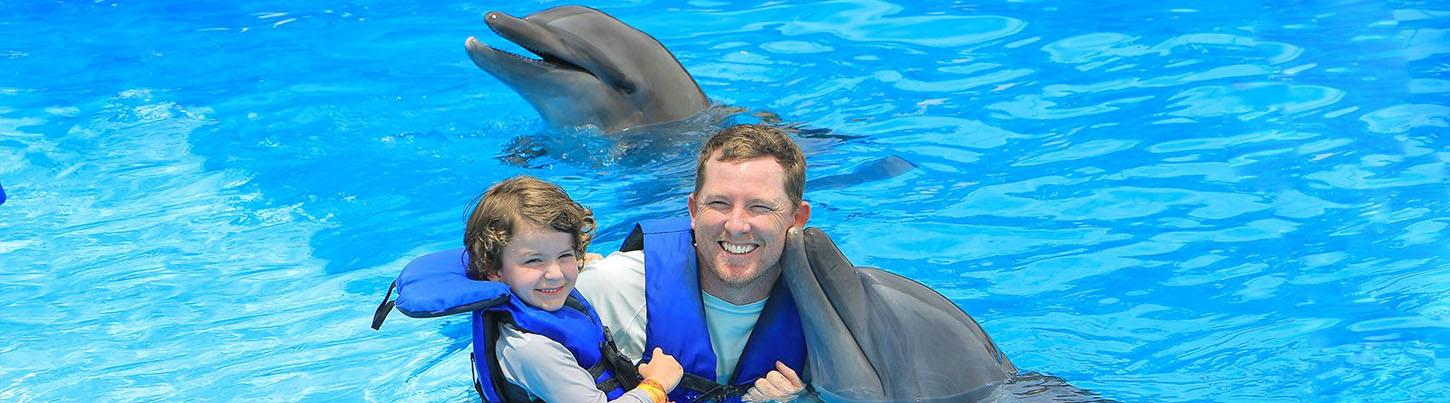 Sea Lion and Dolphin Encounter Swim Adventure 4