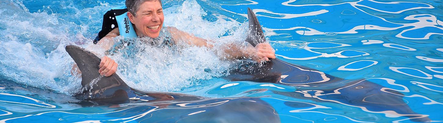 Sea Lion and Dolphin Encounter Swim Adventure 5