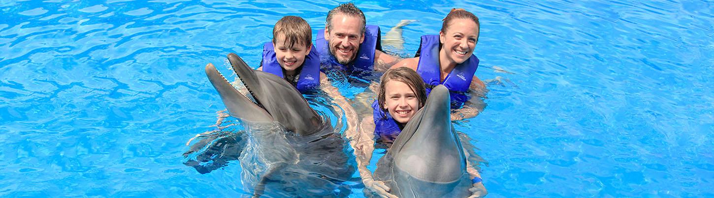 Sea Lion and Dolphin Encounter Swim Adventure 6