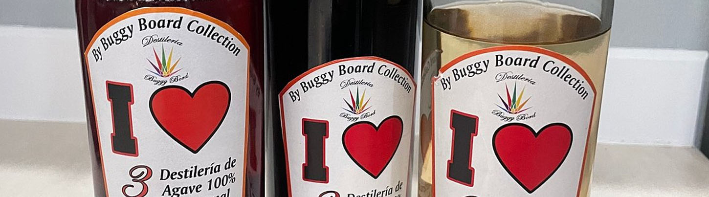 Puerto Vallarta Dune Buggy Adventure 6