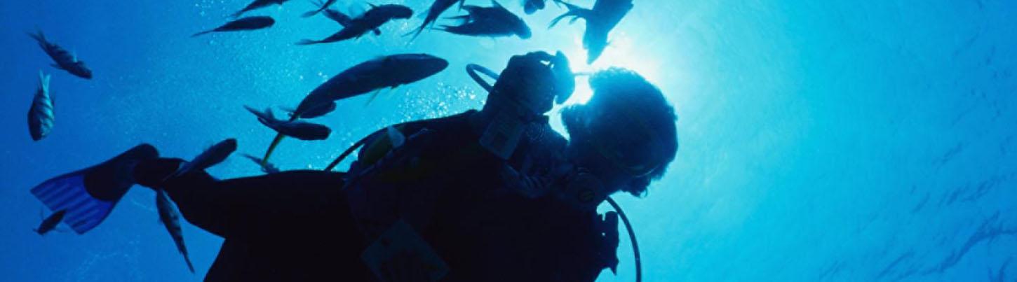 El Morro 2 Tank Dive 8