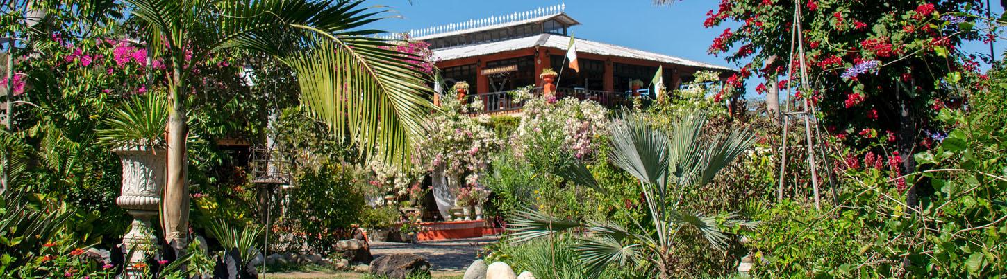 El Tuito Hidden Village & Vallarta Botanical Garden Discovery 1