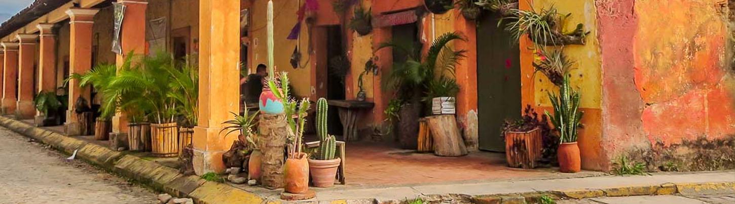 El Tuito Hidden Village & Vallarta Botanical Garden Discovery 3