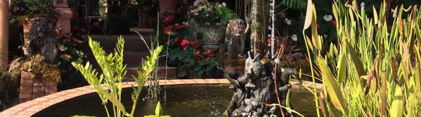 El Tuito Hidden Village & Vallarta Botanical Garden Discovery 4