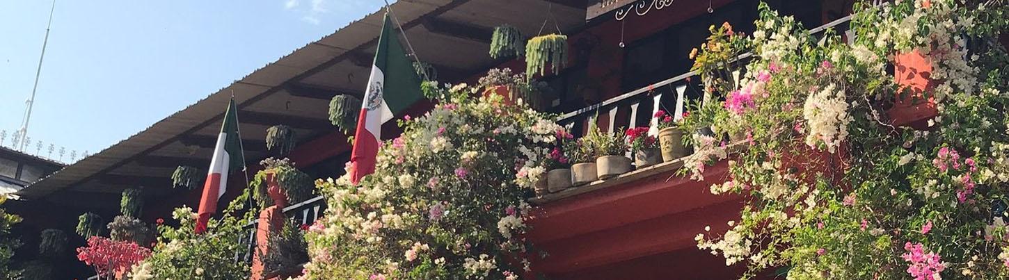 El Tuito Hidden Village & Vallarta Botanical Garden Discovery 6