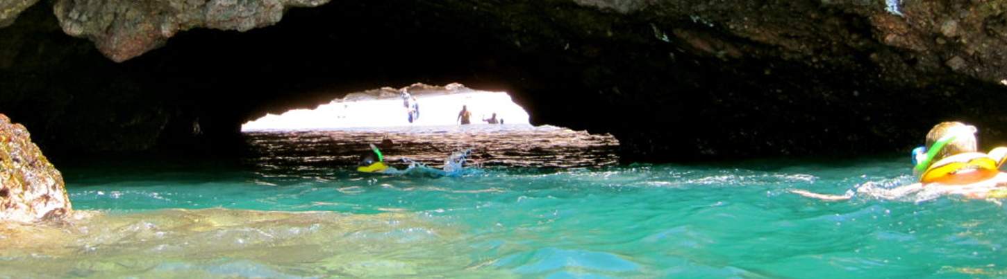 Snorkel en Islas Marietas & Excursión Ecológica de Aves Marinas 4
