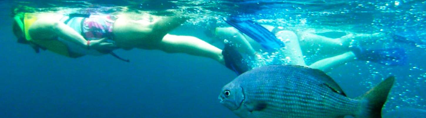 Snorkel en Islas Marietas & Excursión Ecológica de Aves Marinas 5