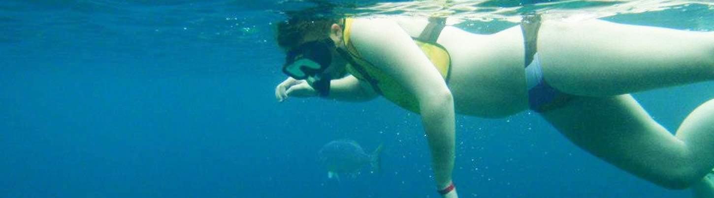 Snorkel en Islas Marietas & Excursión Ecológica de Aves Marinas 7