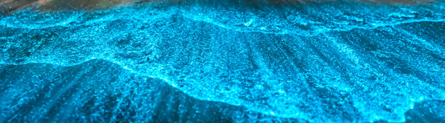 Los Arcos Bioluminescence Paddle Tour 5