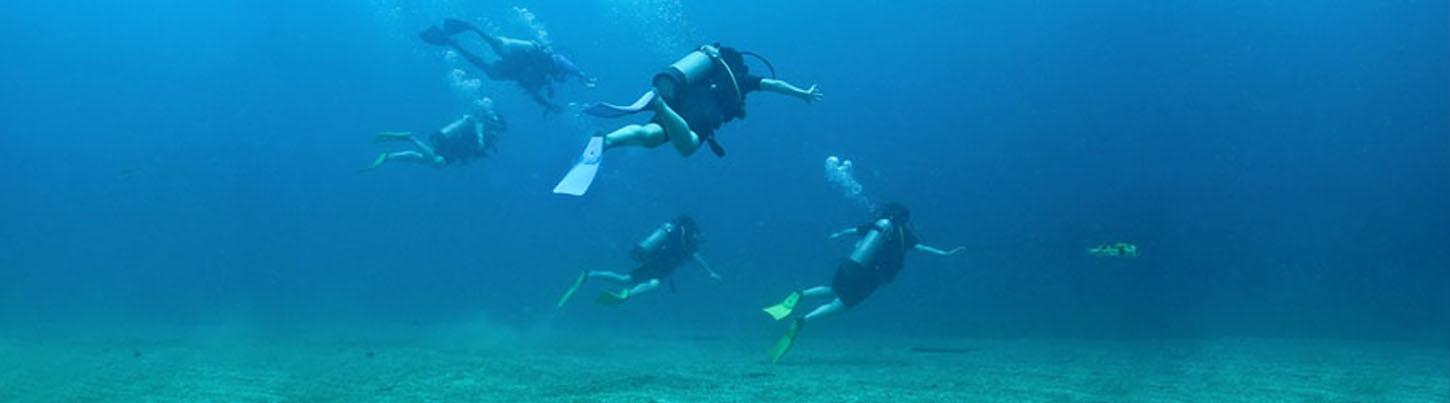 Majahuitas & Los Arcos Scuba Puerto Vallarta 5