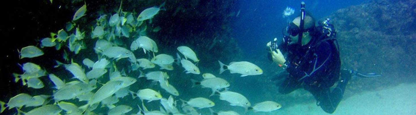 Majahuitas & Los Arcos Scuba Puerto Vallarta 7