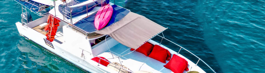 Excursión en Lancha Rápida para Practicar Snorkel en Los Arcos & Visita a Playa Escondida (Experiencia en Grupo Pequeño) 8