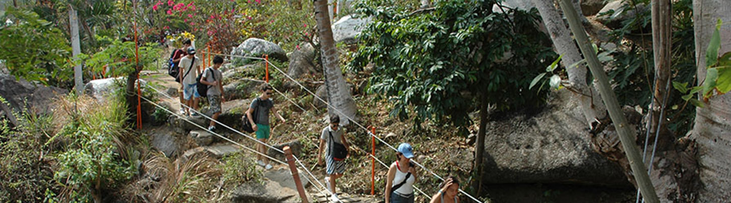 Caminata & Excursión Ecológica de Snorkel en Colomitos 4