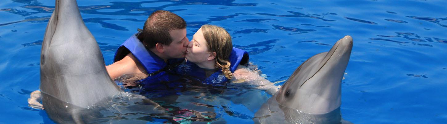 Love Is Underwater Dolphin Swim 5