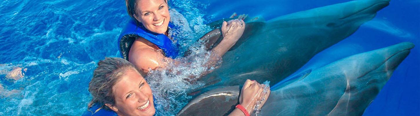 Love Is Underwater Dolphin Swim 6