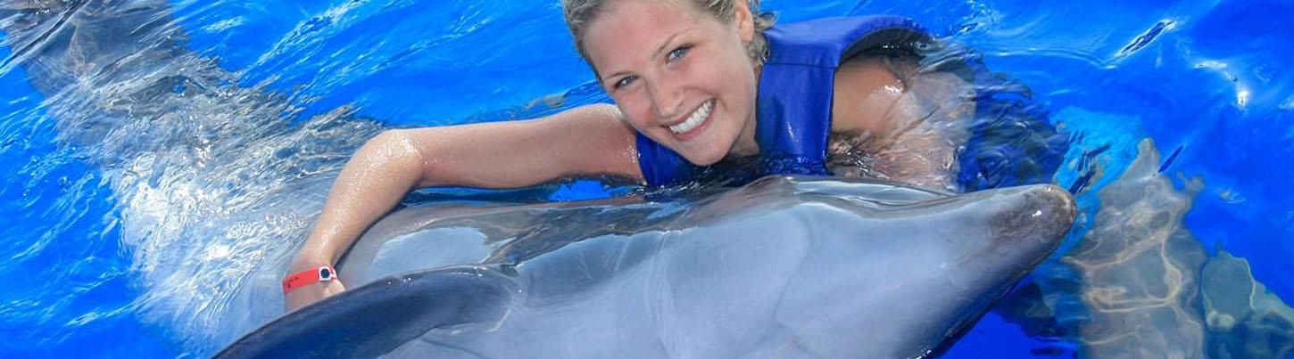 Love Is Underwater Dolphin Swim 8