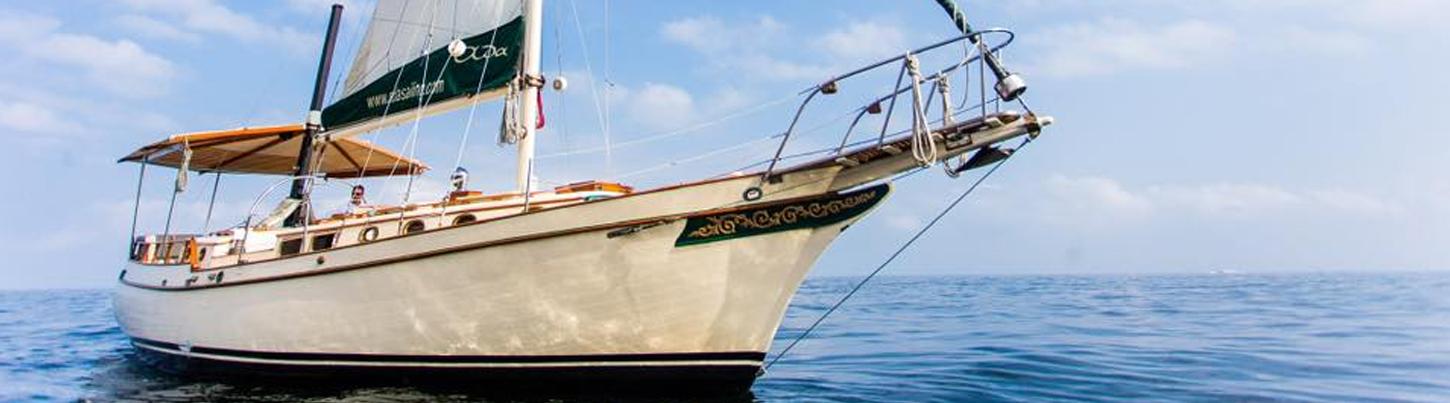 Banderas Bay Luxury Sailing Excursion 2