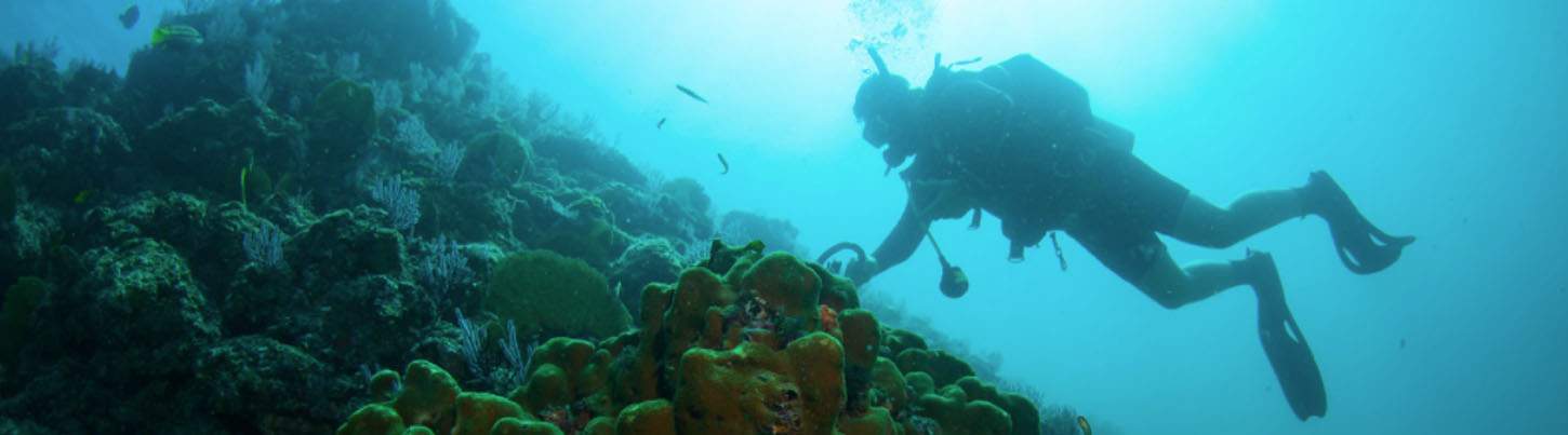 Marietas Islands Scuba Diving Puerto Vallarta 1