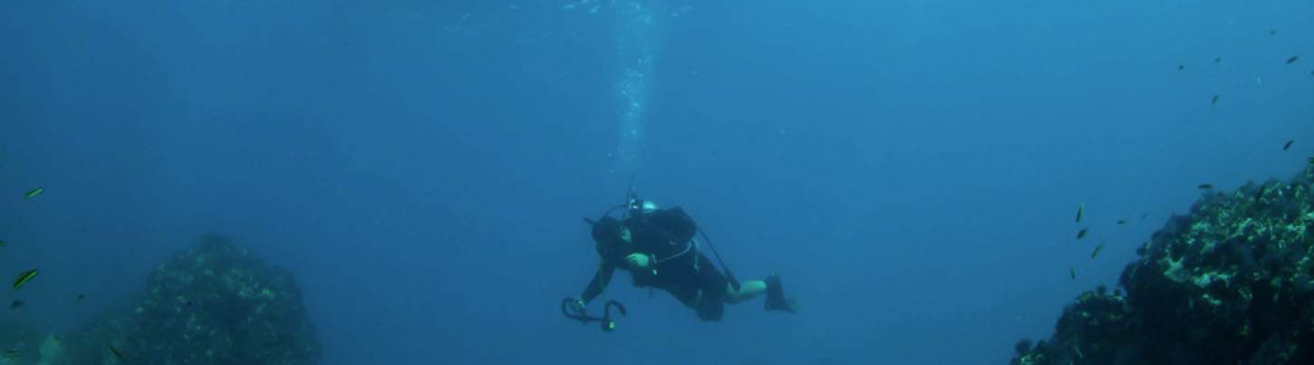 Marietas Islands Scuba Diving Puerto Vallarta 3