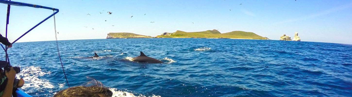 Marietas Islands Scuba Diving Puerto Vallarta 5