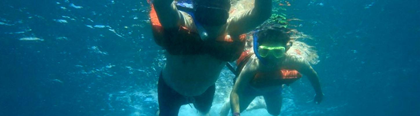 Sails & Whales in Puerto Vallarta 4