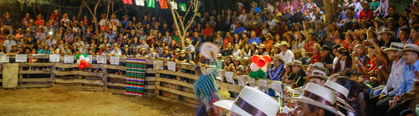 Fiesta Mexicana en Puerto Vallarta 3