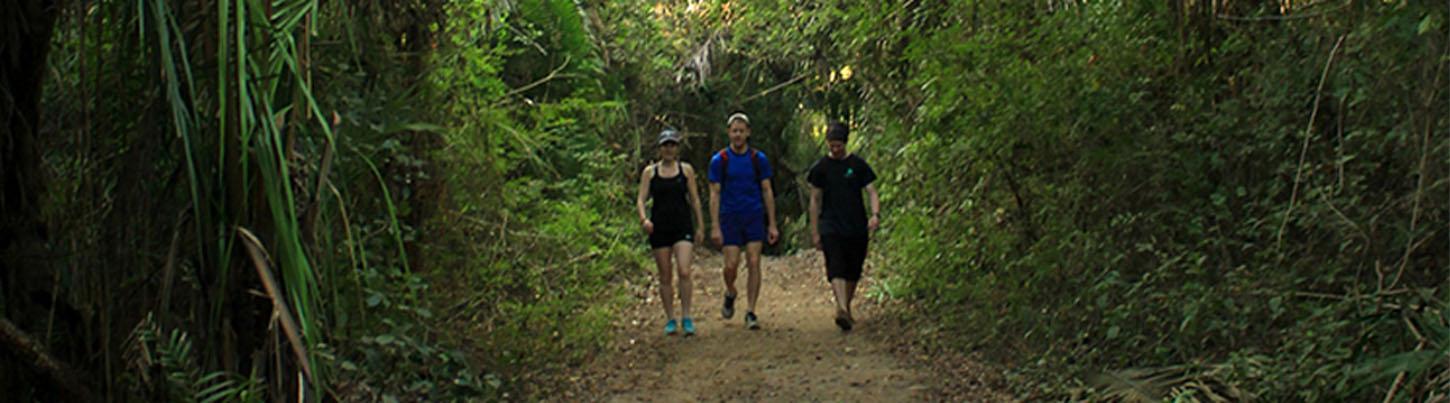 Caminata a la Montaña del Mono 1