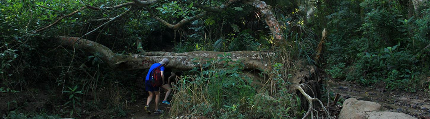 Caminata a la Montaña del Mono 4