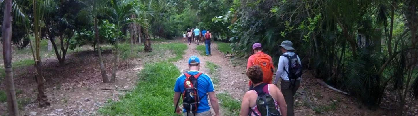 Caminata a la Montaña del Mono 6
