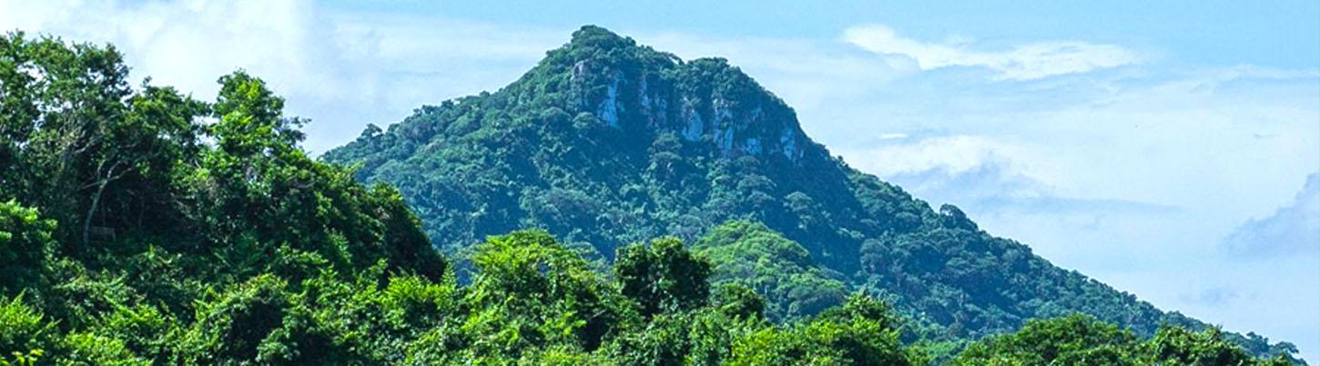 Caminata a la Montaña del Mono 8