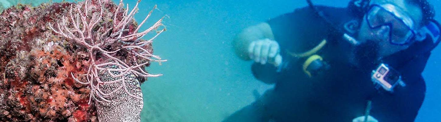 PADI Open Water Diver Certification 1