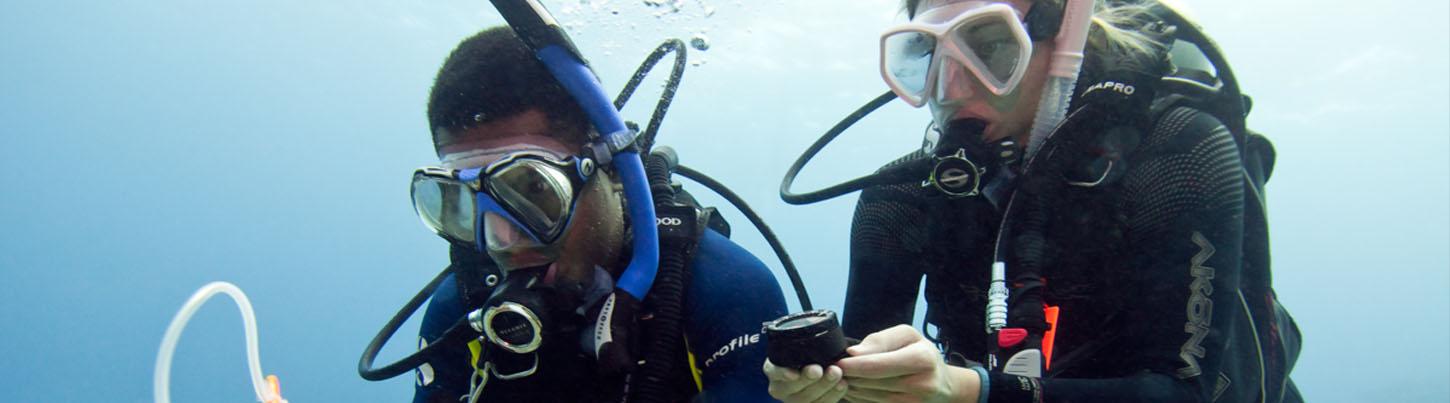 PADI Open Water Diver Certification 2