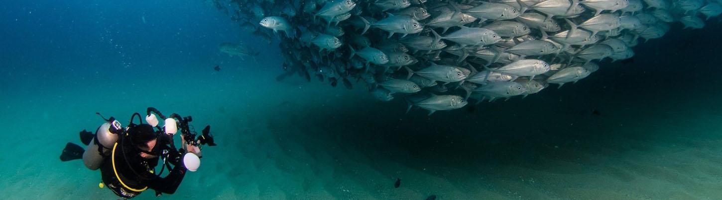 PADI Open Water Referral Course 6