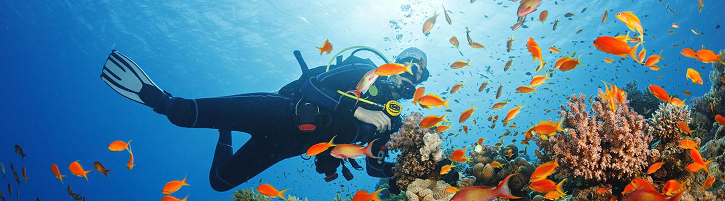 PADI Open Water Referral Course 8