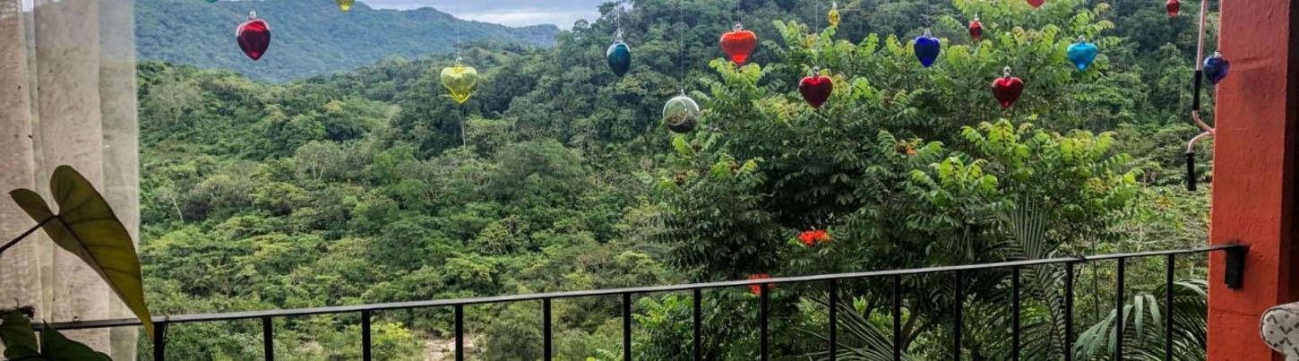 Private Botanical Gardens Eco-Tour & El Tuito Village Escape 3