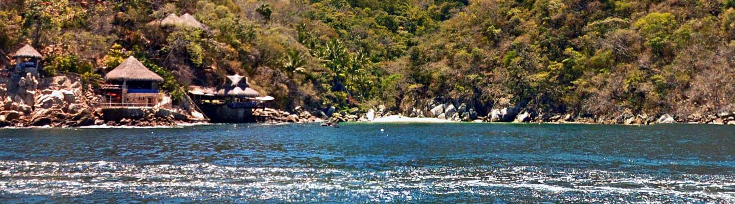 Private Colomitos Cove Snorkeling Tour 5