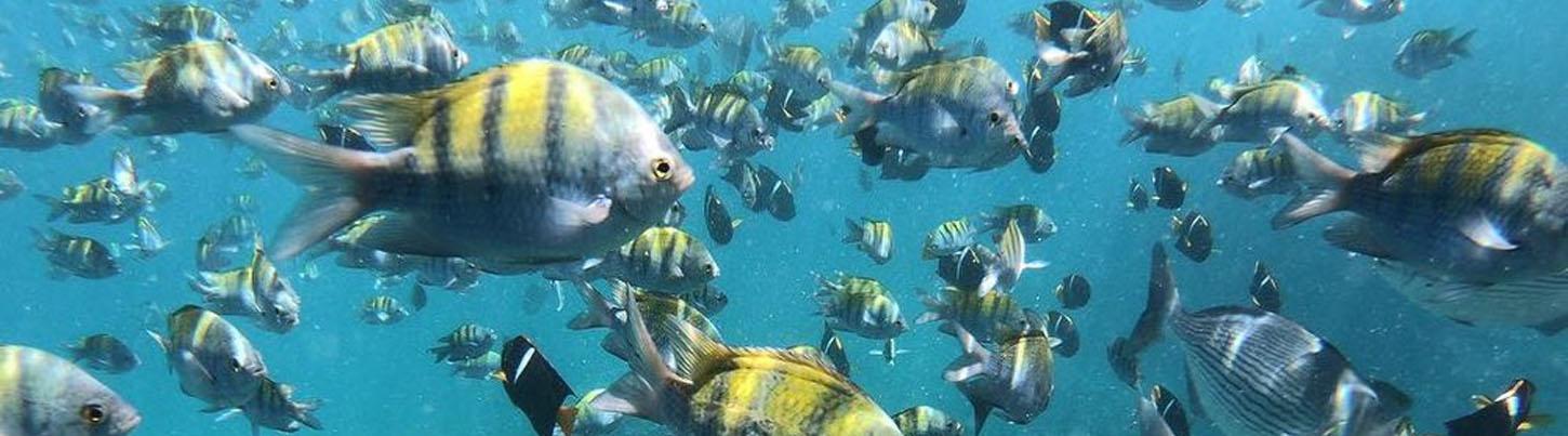 Private Los Arcos National Park Snorkeling 4