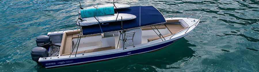 Private Marietas Islands Discovery (+ Optional Hidden Beach Pass) 4