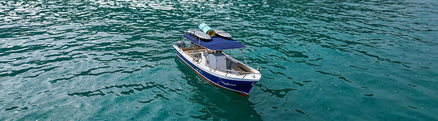 Private Marietas Islands Discovery (+ Optional Hidden Beach Pass) 7